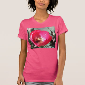 A camisa da tulipa
