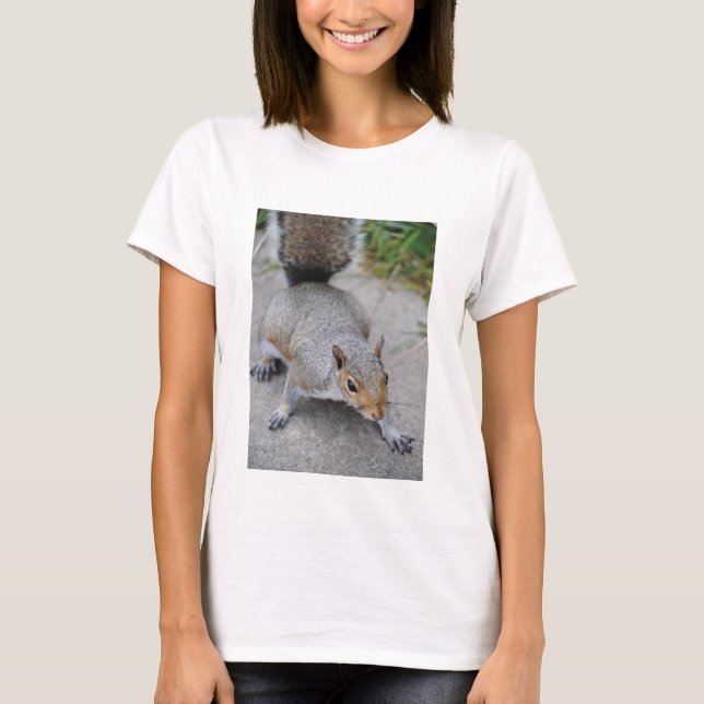 A camisa das mulheres do esquilo (Frente)