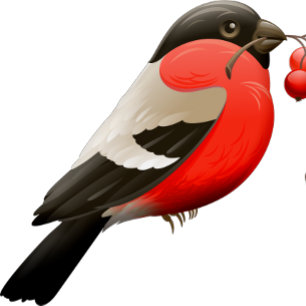 A camisa de verão impressa com um pássaro em verme