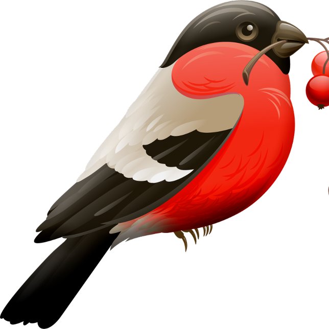 A camisa de verão impressa com um pássaro em verme (Criador carregado)