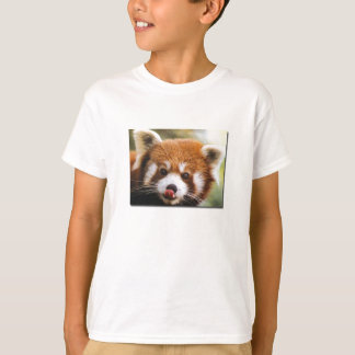 A camisa do miúdo da panda vermelha