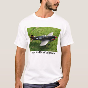 A Camisa P-40 Warhawk
