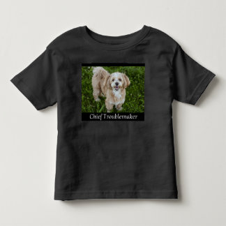 A Camiseta do Melhor Amigo Aventureiro Golden Retr