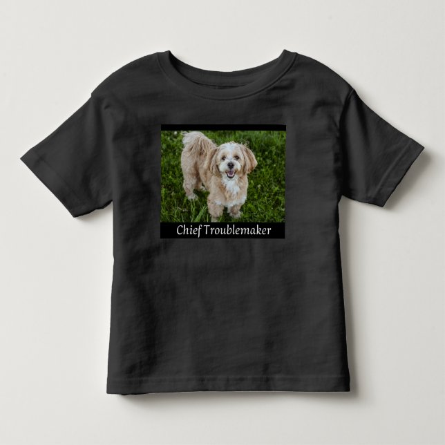 A Camiseta do Melhor Amigo Aventureiro Golden Retr (Frente)