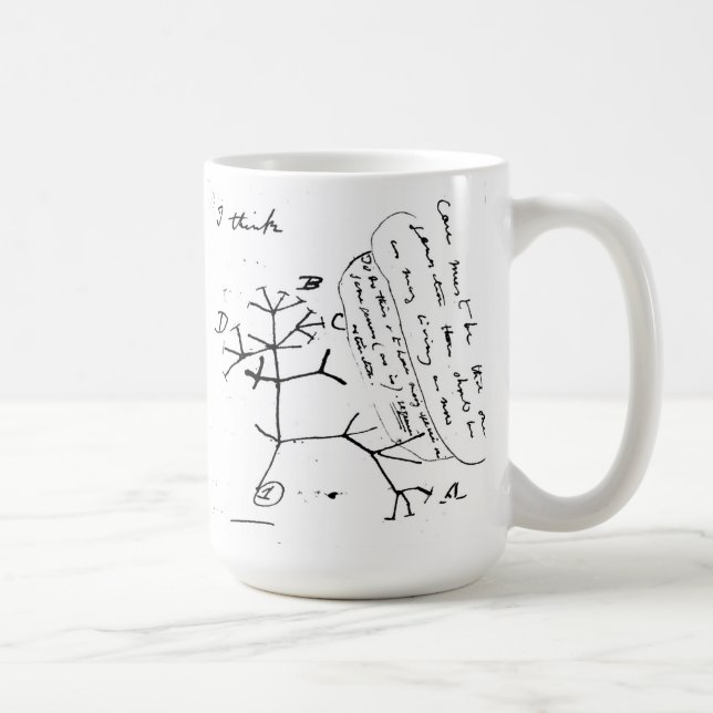 A caneca de Darwin (Direita)