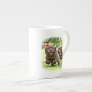 A caneca "olhar da porcelana de osso do DIBBLE