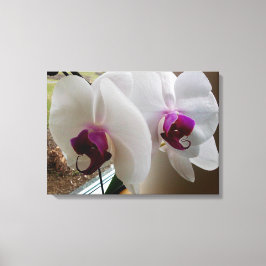 A CANVAS ORCHID BRANCA