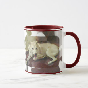 A casa Pets a caneca