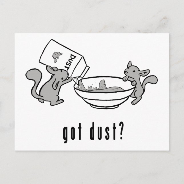 A chinchila obteve o cartão da poeira (Frente)