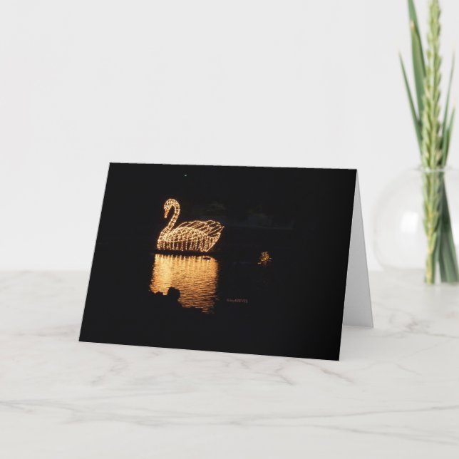 A cisne ilumina o cartão (Frente)