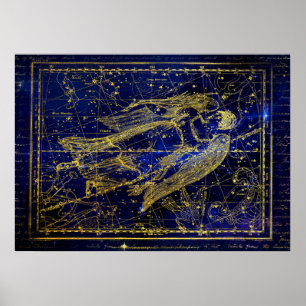 a constelação virgem poster