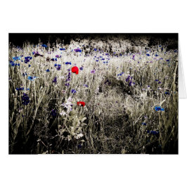 A cor isolada floresce o cartão