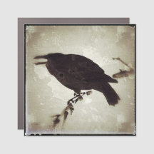 A Coroa de Grunge