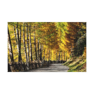 A estrada ao impressão das canvas do outono