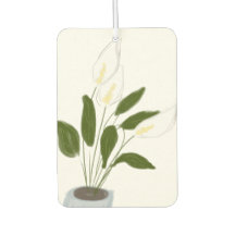 A felicidade da mulher recém-passada