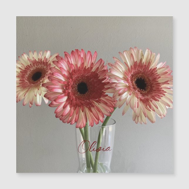 A Feliz Gerbera Rosa Flor Foto +Nome Personalizado (Frente)
