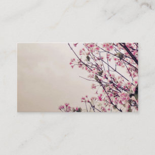 A flor de cerejeira floresce cartões de visitas