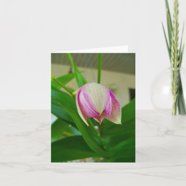 A flor de orquídea abre-se num cartão de nota de v (Frente)