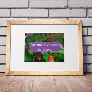 A fortuna do provérbio favorece a corajosa poster