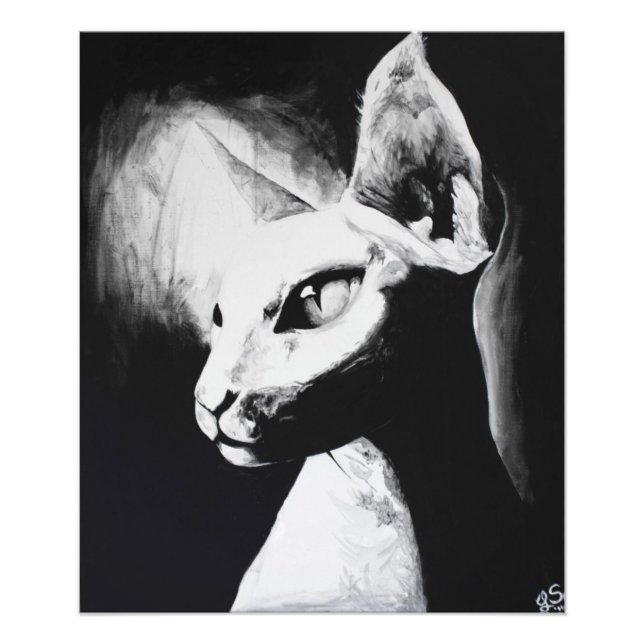A Foto de Arte Original em Impressão do Gato Felin (Frente)