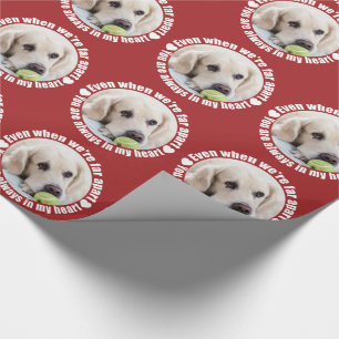 A FOTO de papel de embrulho com amor