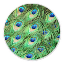 A gaveta verde do pássaro das penas do pavão puxa