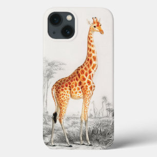 A Girafa Elegante