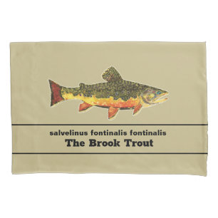 A Gorda Truta Brook para Ventiladores de Pesca