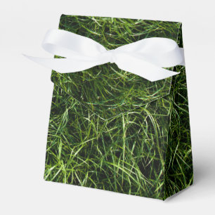 A grama é sempre uma caixa mais verde do favor