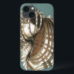 A Joia do Oceano<br><div class="desc">Uma das melhores joias do oceano está nesta imagem. Encontre esta grande concha de concha nesta moldada peça de arte moderna. Esta grande imagem de concha tem um fundo lacrimogêneo e sepia e casca branca. Fique relaxado com este excelente natural.</div>