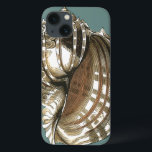 A Joia do Oceano<br><div class="desc">Uma das melhores joias do oceano está nesta imagem. Encontre esta grande concha de concha nesta moldada peça de arte moderna. Esta grande imagem de concha tem um fundo lacrimogêneo e sepia e casca branca. Fique relaxado com este excelente natural.</div>