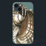 A Joia do Oceano<br><div class="desc">Uma das melhores joias do oceano está nesta imagem. Encontre esta grande concha de concha nesta moldada peça de arte moderna. Esta grande imagem de concha tem um fundo lacrimogêneo e sepia e casca branca. Fique relaxado com este excelente natural.</div>