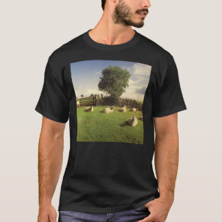 A KLF - Retirar o T-Shirt clássico