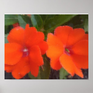 A laranja floresce 14" x 11", o papel de poster