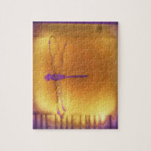 A libélula e o quebra-cabeça de Sun