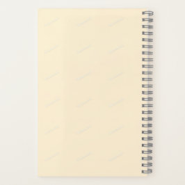 A linguagem da graça