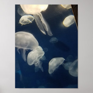 A lua Jellies o poster