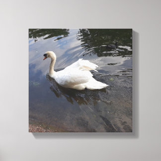 A MAIOR IMPRESSÃO DO CANVAS SUÍNO