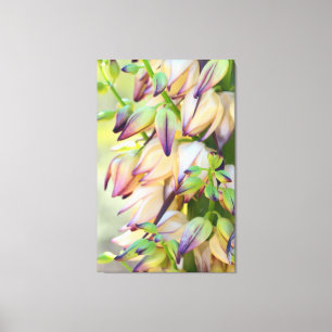a mandioca floresce canvas