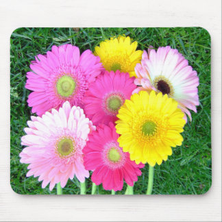 A margarida do Gerbera colore Mousepad