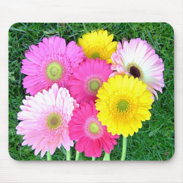 A margarida do Gerbera colore Mousepad (Frente)