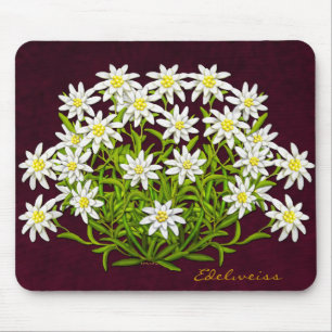 A montanha suíça Edelweiss floresce Mousepad