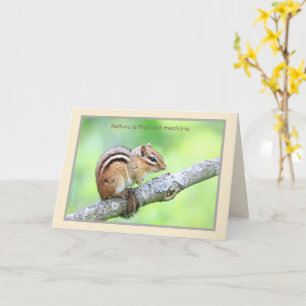 A natureza é o melhor cartão de medicamento