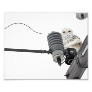 A neve regional - Impressão de fotos 8x10