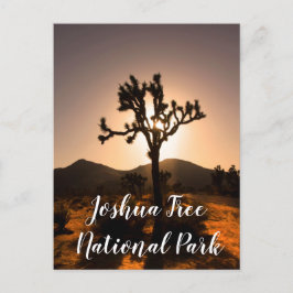 A noite começa no cartão postal Joshua Tree