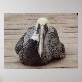 A Ornery Pelican Poster