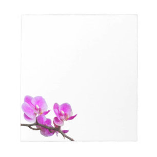 A orquídea cor-de-rosa floresce o bloco de notas