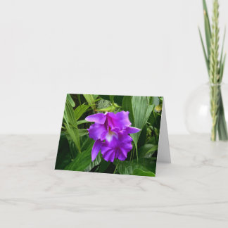 A orquídea roxa w sae do cartão de nota