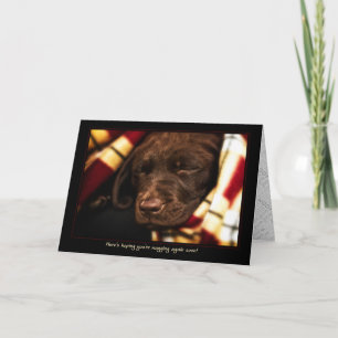 A-PAL - Labrador Retriever Puppy   Obter Cartão Be