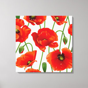 A papoila floresce canvas